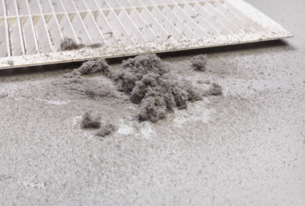 Best Best Air Duct Cleaning Near Me  in Gonzalez, FL