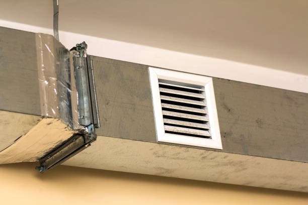 Best Air Duct Mold Removal  in Gonzalez, FL